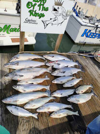Port Washington Report Photo 2