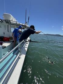 San Francisco Report Photo 1