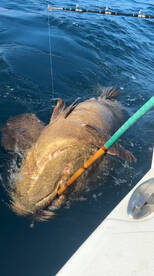 Offshore fishing is hot!