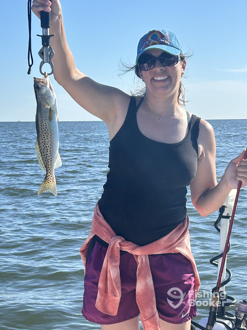 Punta Gorda Report Photo 0