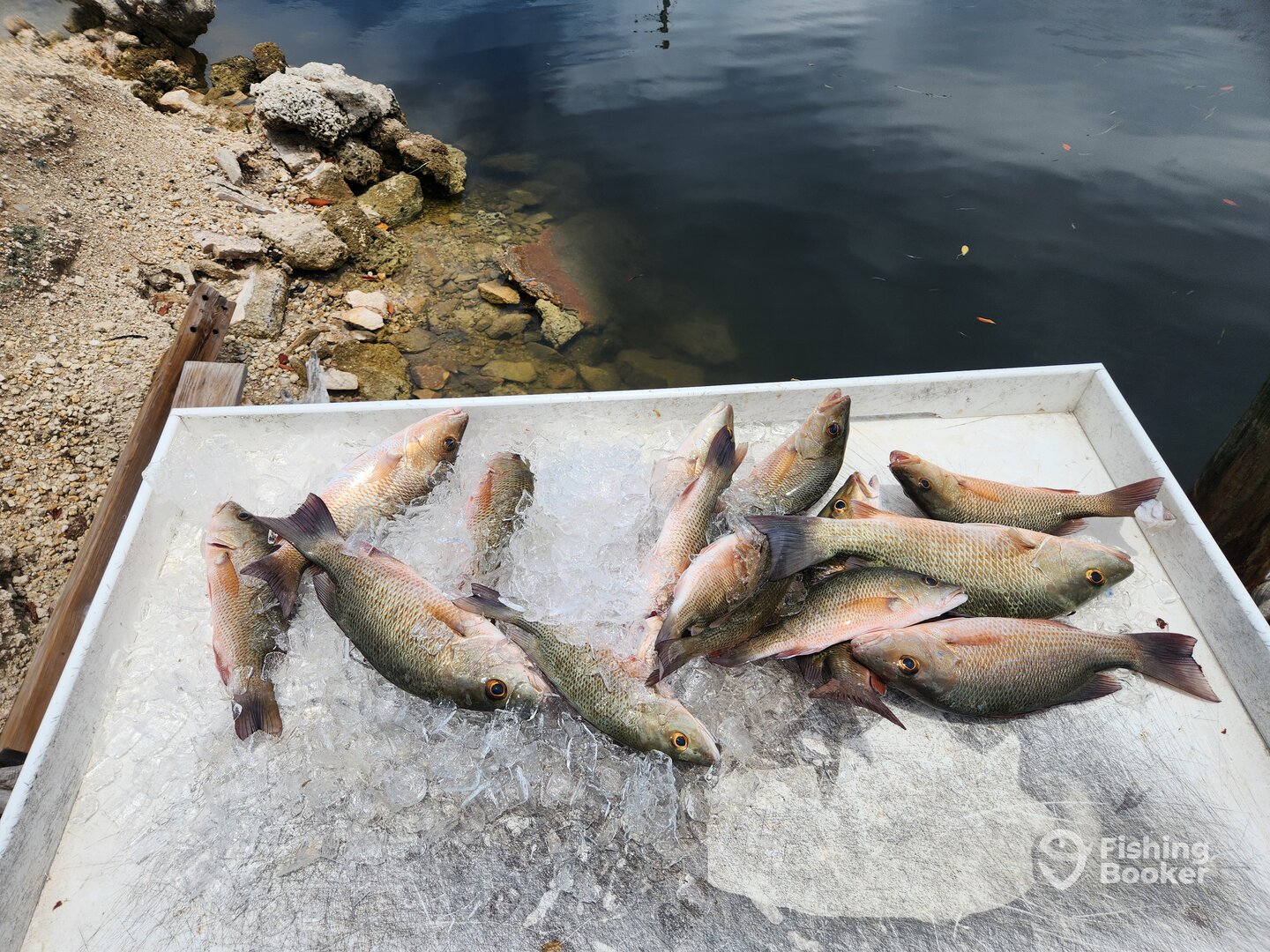 Florida Keys Report Photo 0