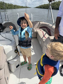 Collier County Report Photo 1