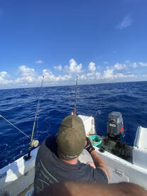 Puerto Morelos Report Photo 2