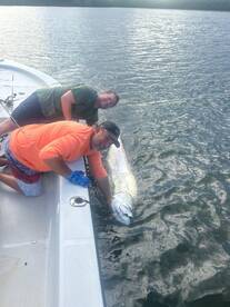 06/08/2025 afternoon action 