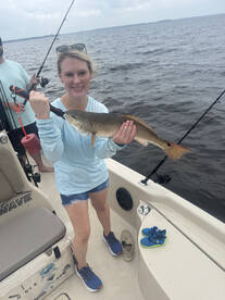 New Bern Report Photo 1