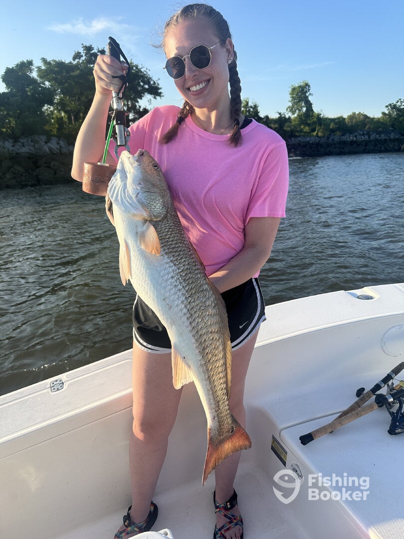 Nice 39” Bull Redfish on light tackle.