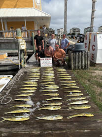 Hatteras Island Report Photo 4