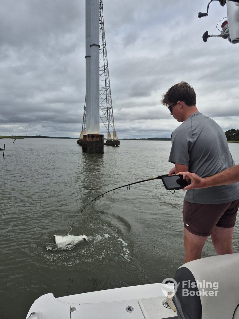 Hilton Head Island Report Photo 0
