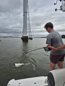 South Carolina Report Photo 2