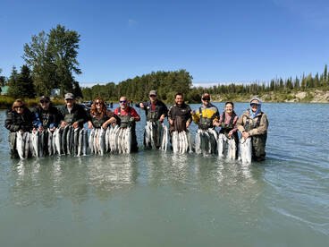 Alaska Report Photo 2