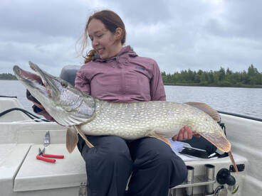 Big pike in the netherlands