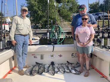 Get your Salmon for the freezer!