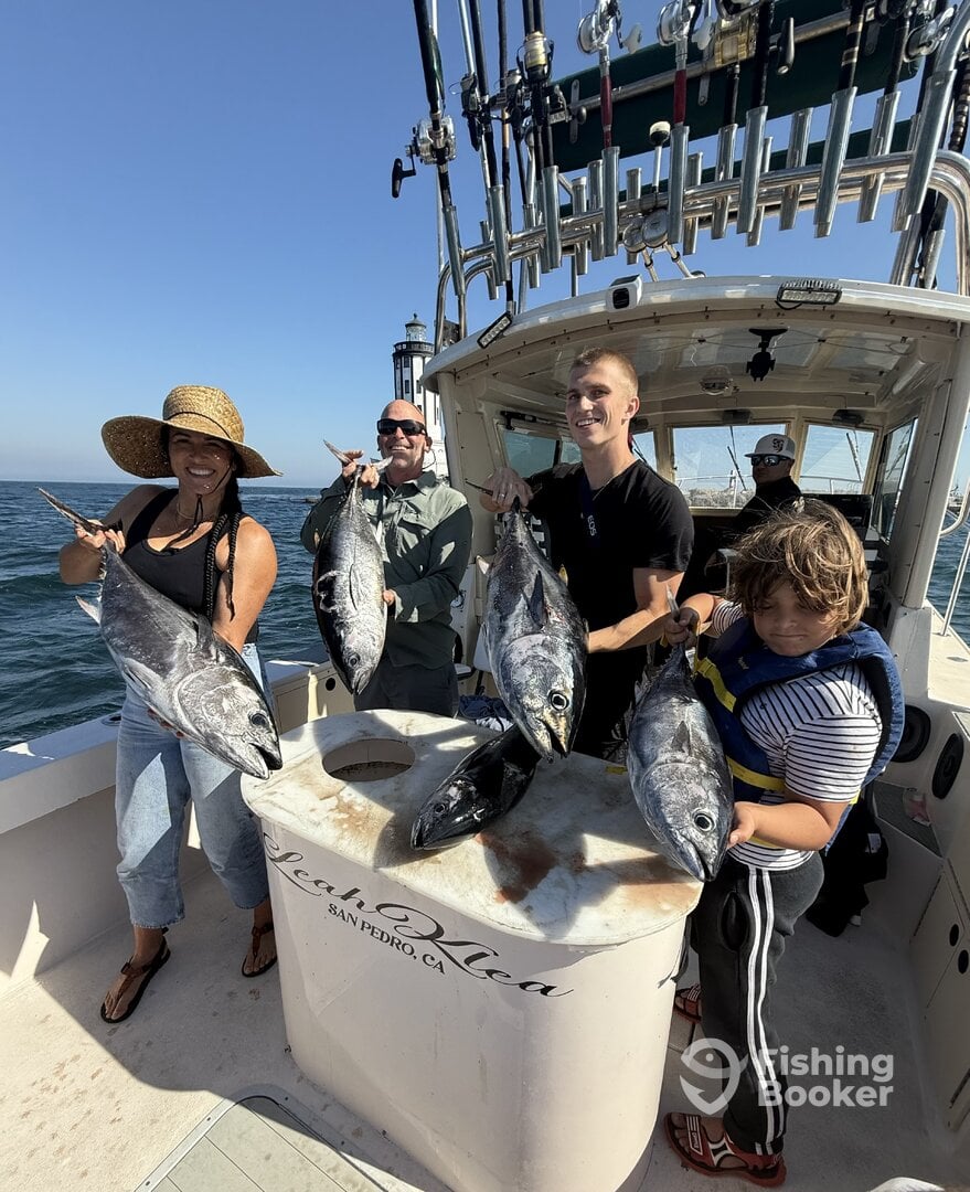 Catalina Island Report Photo 0