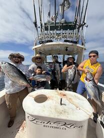 Catalina Island Report Photo 1
