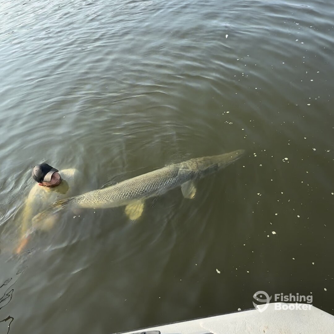 West Livingston Report Photo 0