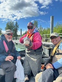 Kenai Report Photo 1