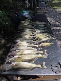 Vermilion Report Photo 1