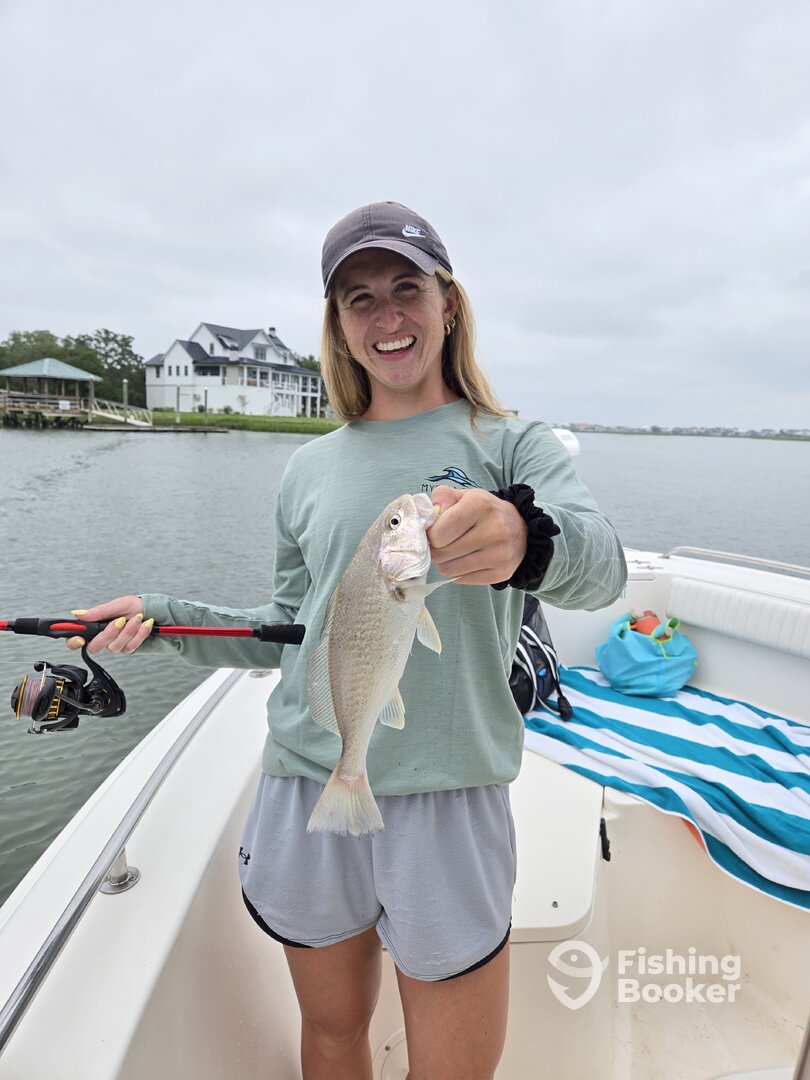 Murrells Inlet Report Photo 0