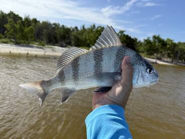 Everglades City Report Photo 1