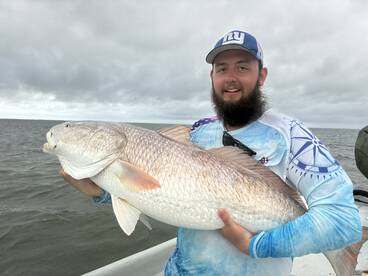 Nice reds