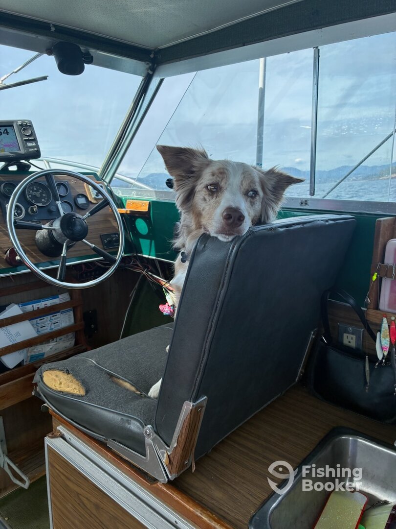 Vancouver Island Report Photo 0