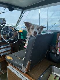 Sooke fishing on Fire!