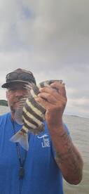 Darien Report Photo 1