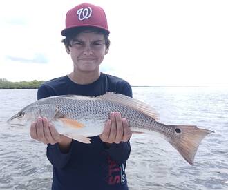 Florida Report Photo 2