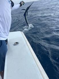 Great Fishing, Food & Camaraderie on the