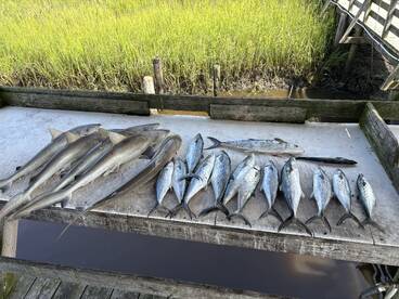 Fishing is getting better every day 