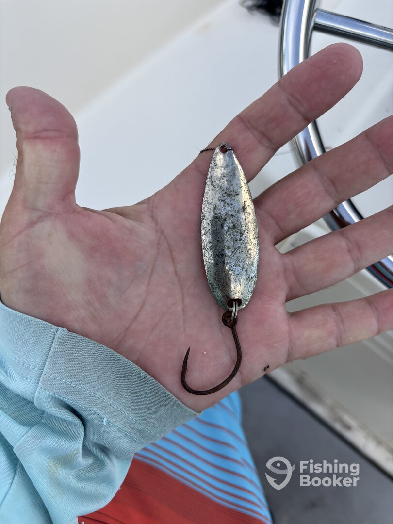 Islamorada Report Photo 0