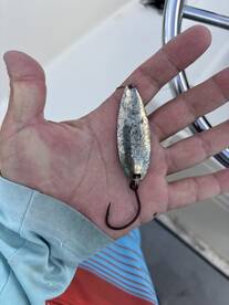 Islamorada Report Photo 1