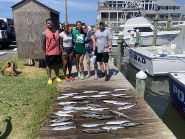Pamlico Sound Report Photo 2