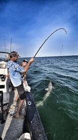 Galveston Report Photo 2