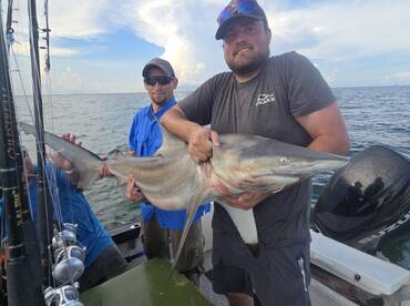 Galveston Report Photo 1
