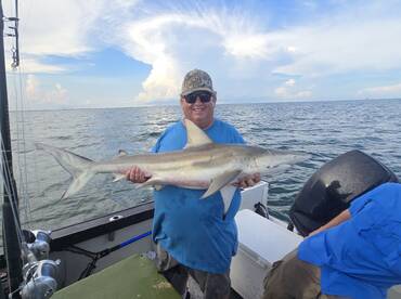 12 shark trip