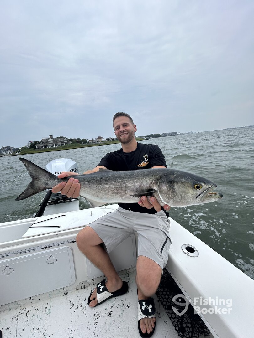 Ocean City Report Photo 0