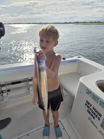 1st Ribbon Fish