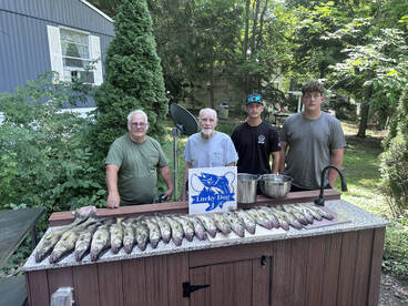 Still a nice pod of fish sticking around