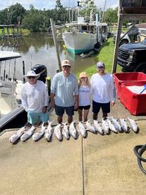 Gulf Shores Report Photo 2