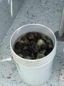 Loaded the Boat with Scallops 