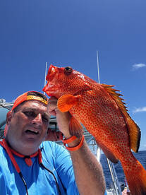 Wind droped today  did some bottom