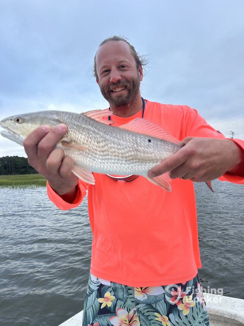 Cape Lookout Report Photo 0