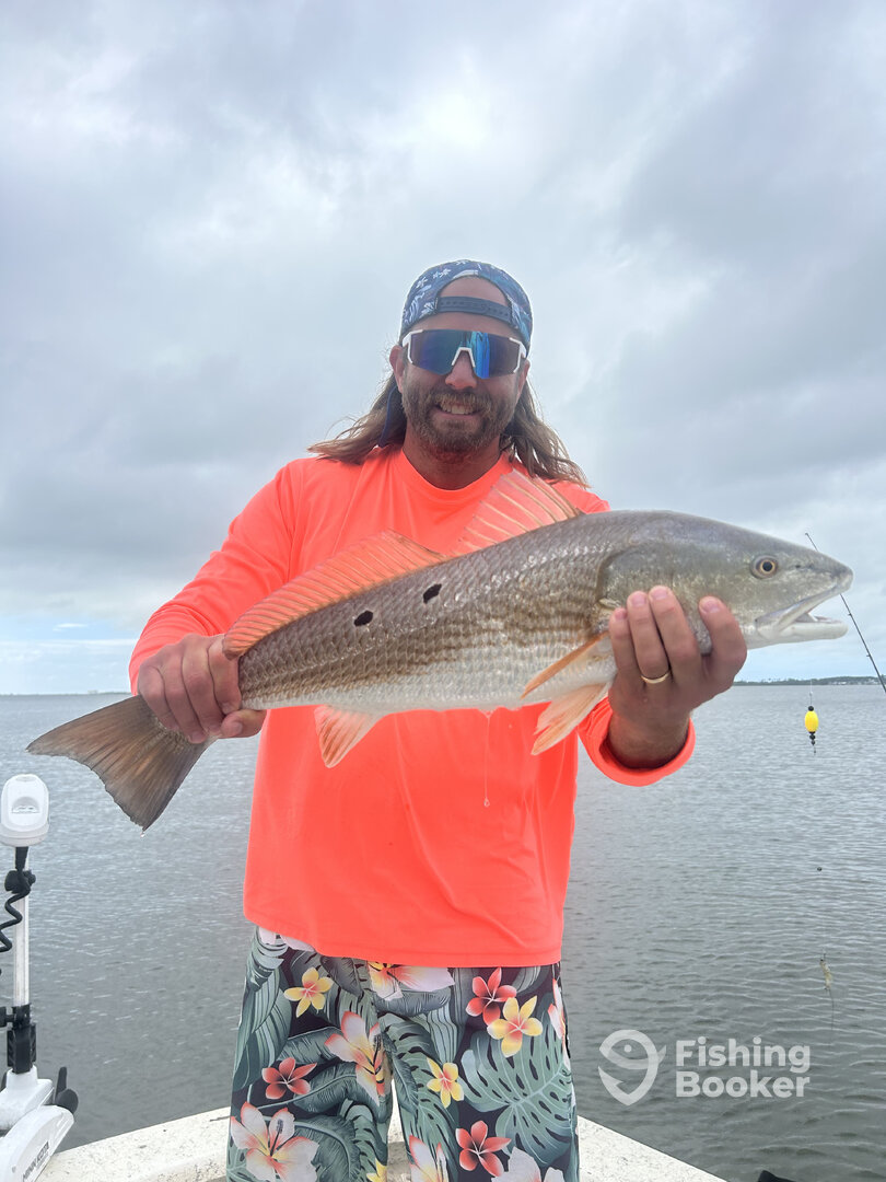 Beaufort Report Photo 0