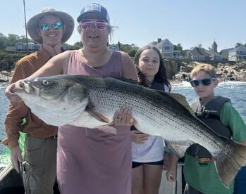 Rockport Report Photo 1