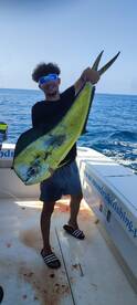 White Marlin..... Mahi Mahi all together