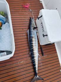 Trolling fishing 