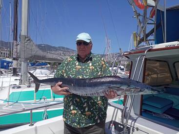 Funchal Report Photo 4