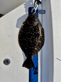 Holden Beach Report Photo 1