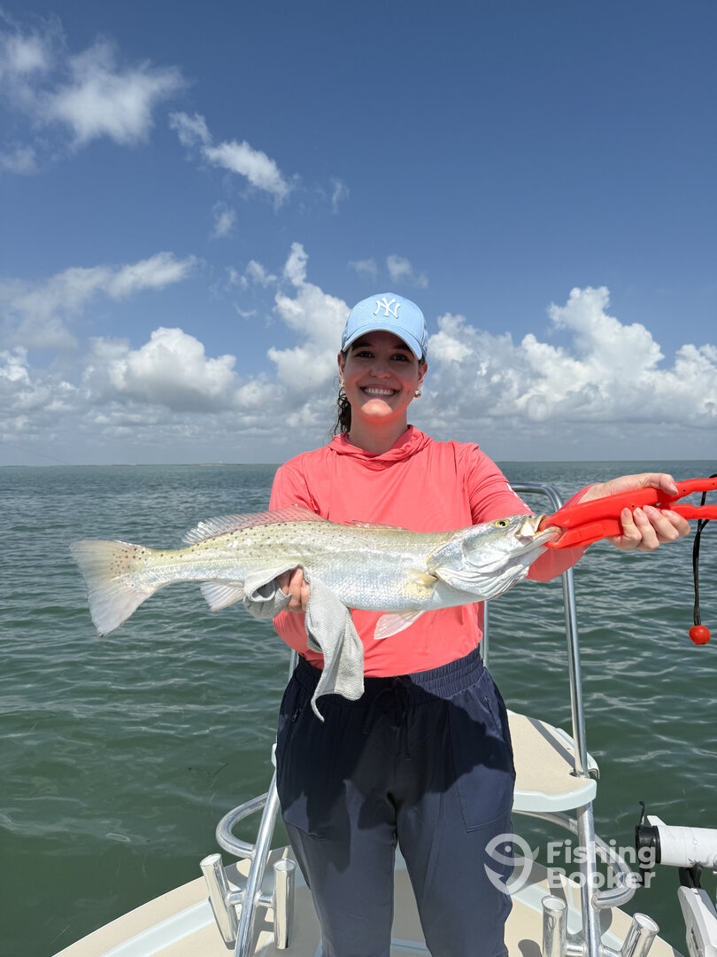 South Padre Island Report Photo 0